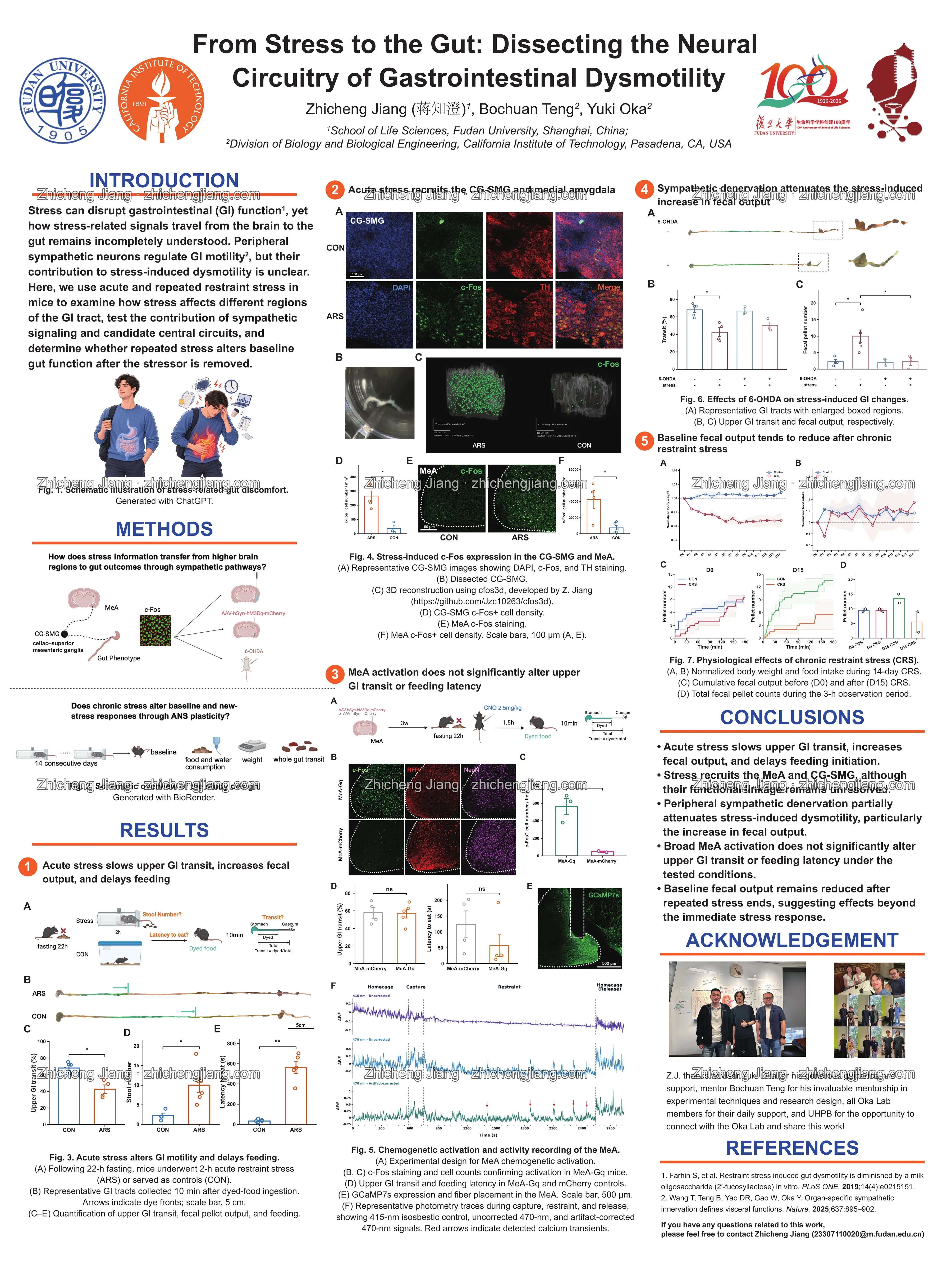 Watermarked research poster: From Stress to the Gut: Dissecting the Neural Circuitry of Gastrointestinal Dysmotility