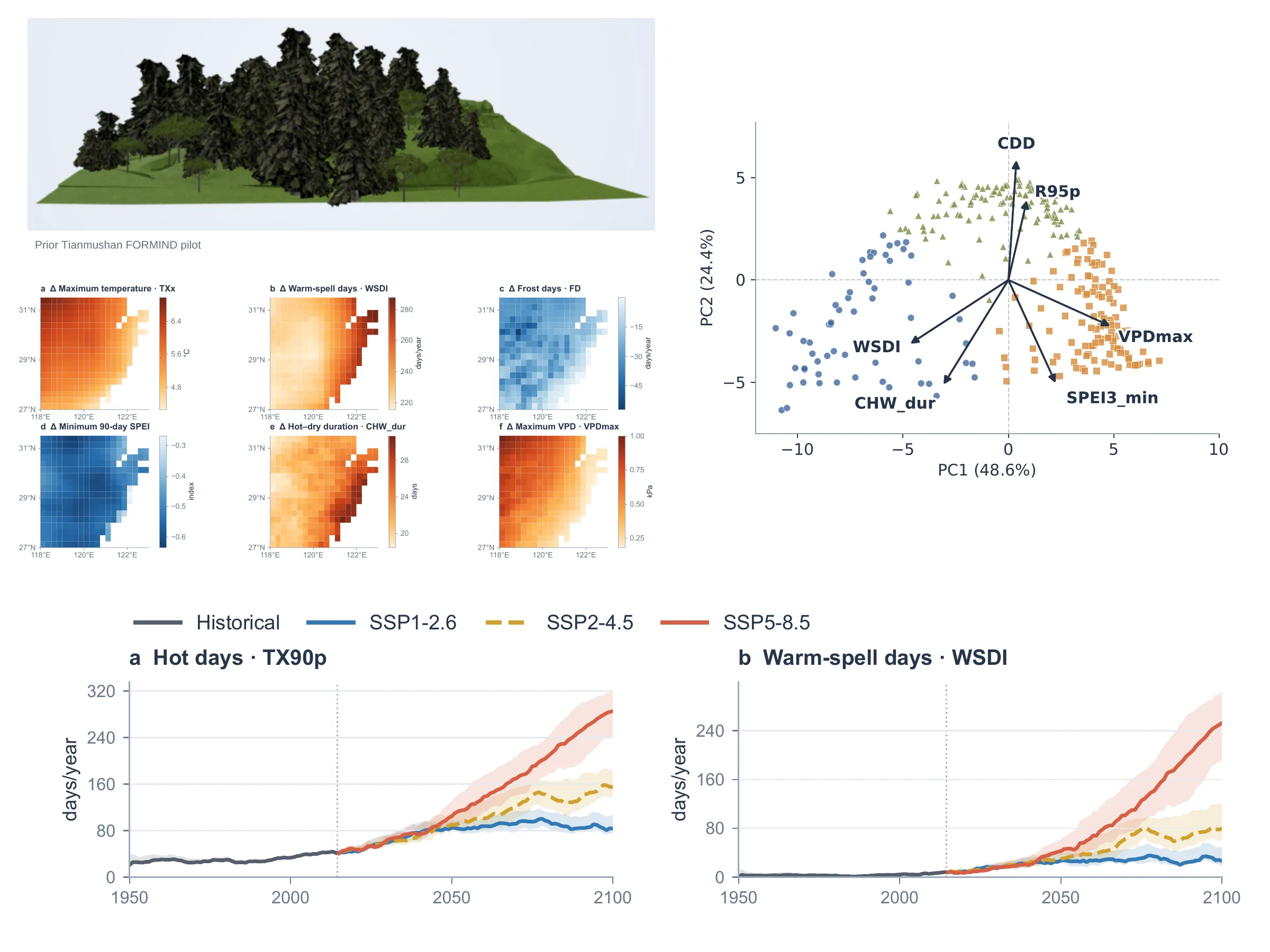 Regional climate clusters, extreme climate projections, terrain and climate-risk profiles for Zhejiang forests.